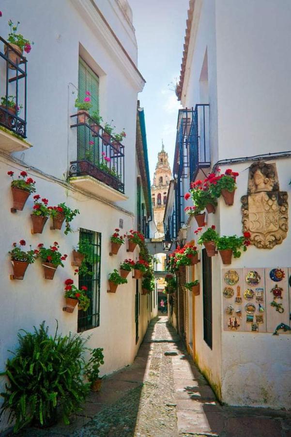 Casa Juanma Daire Cordoba Dış mekan fotoğraf